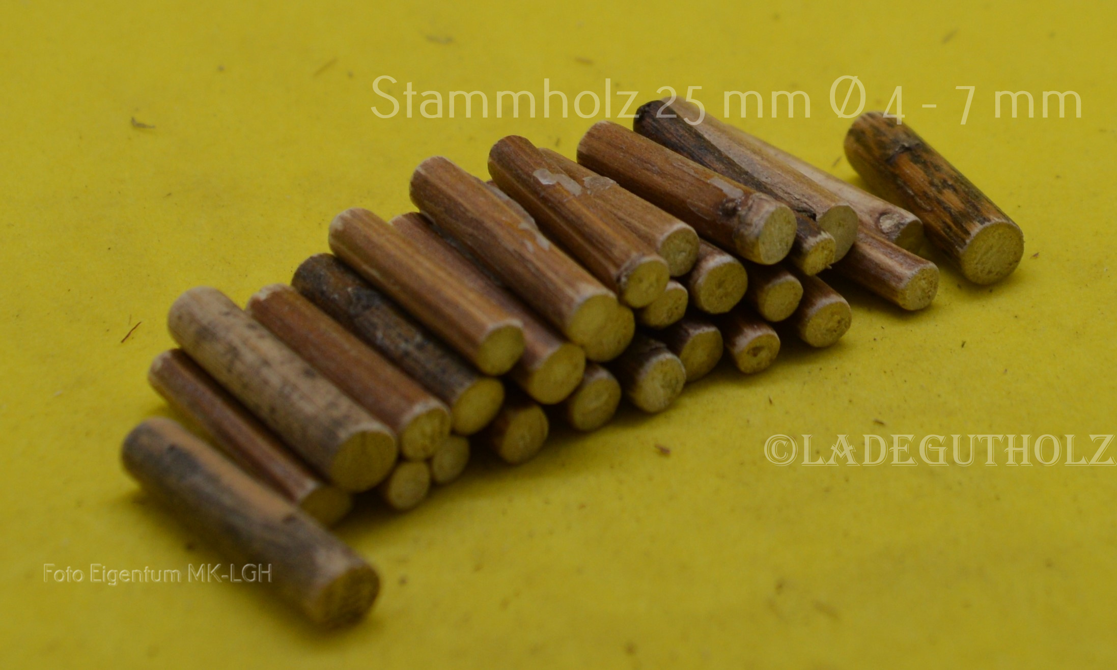 Stammholz 25 mm lang Ø 4 - 7 mm - 20 Stück