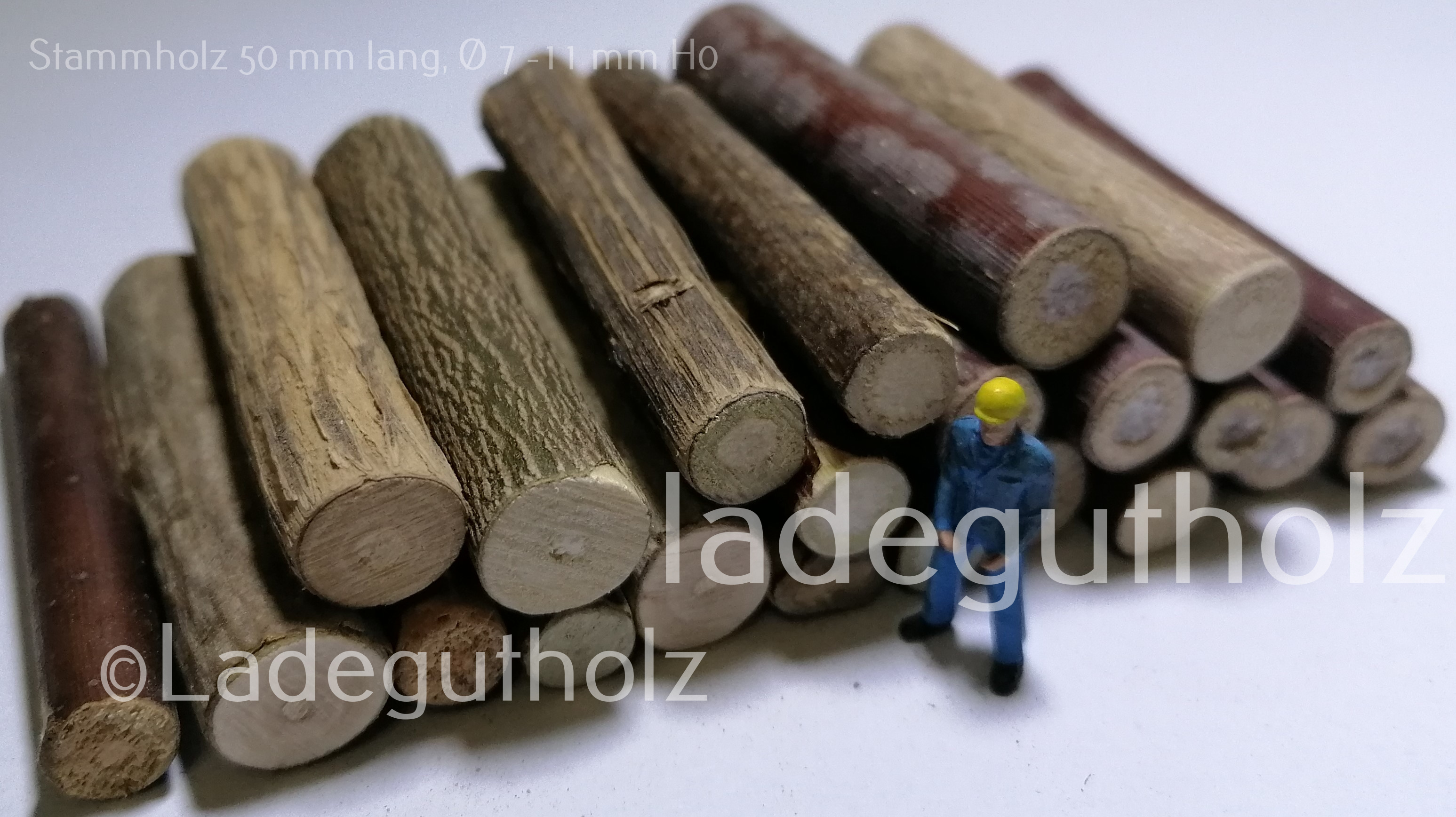Stammholz 50 mm lang Ø 7 - 11 mm - 20 Stück
