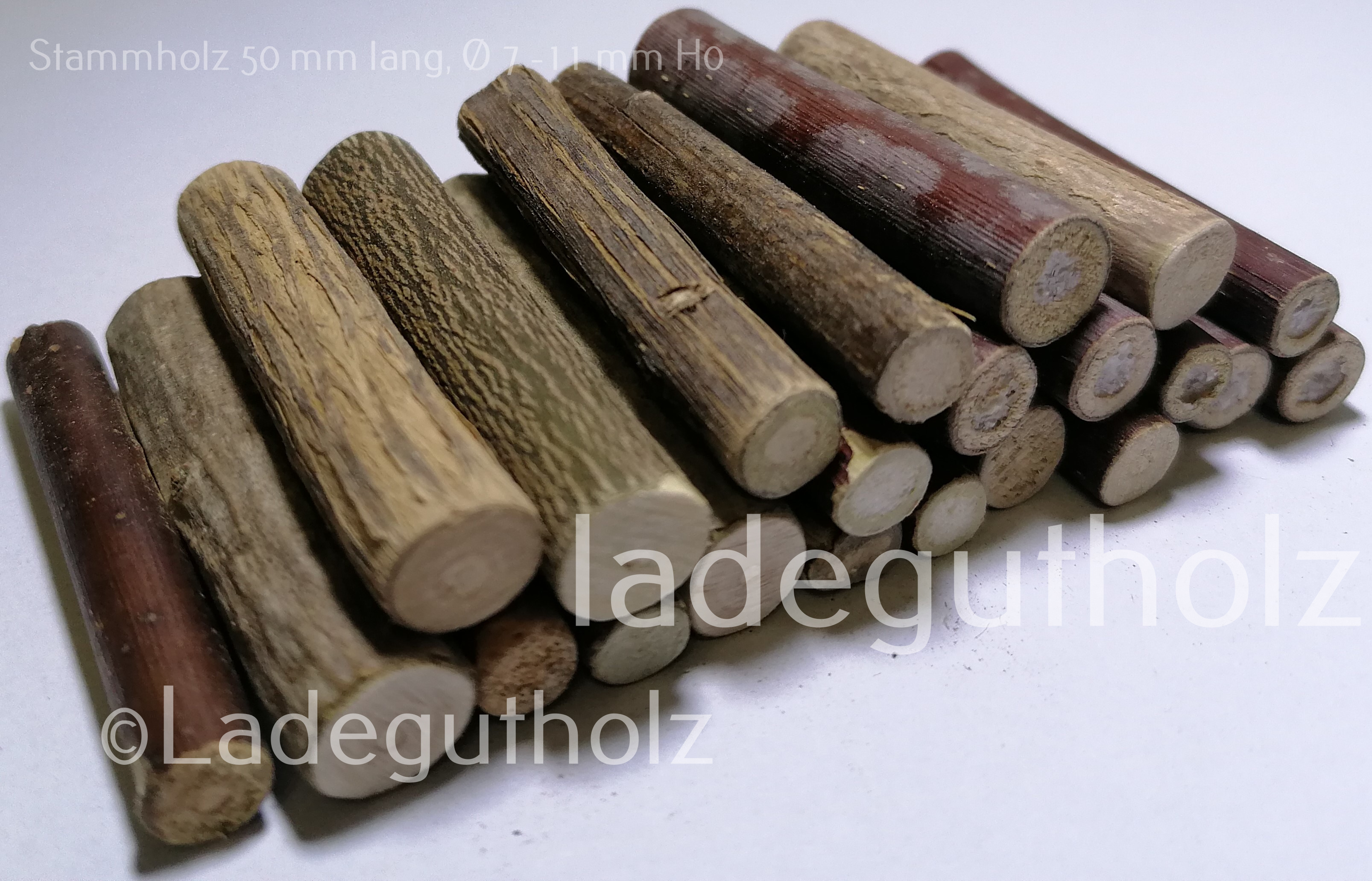 Stammholz 50 mm lang Ø 7 - 11 mm - 20 Stück